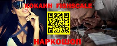крисы Кандалакша
